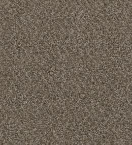 Cce 125 - Desert Jasper Swatch
