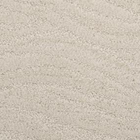 Taittinger - Annapolis Swatch