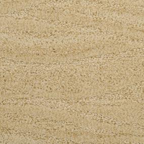 Taittinger - Ashbury Swatch