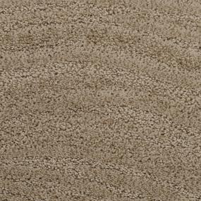 Taittinger - Ashley Taupe Swatch