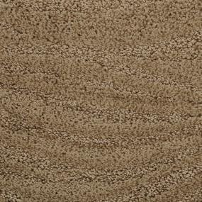 Taittinger - Briarwood Swatch