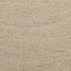 Taittinger - North Hampton Swatch
