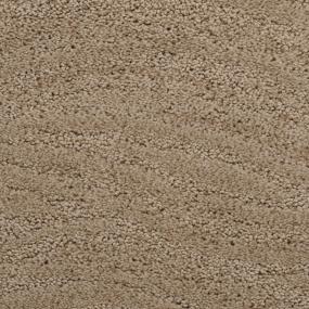 Taittinger - Rushmore Swatch