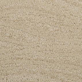 Taittinger - Sandlot Swatch