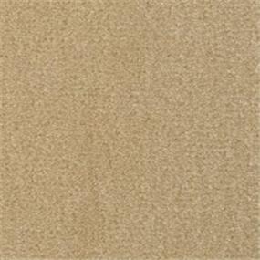 Macadamia Swatch Thumbnail