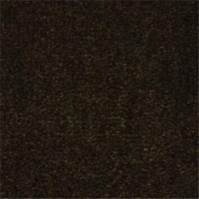 Dark Chocolate Swatch Thumbnail