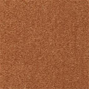Saddle Brown Swatch Thumbnail