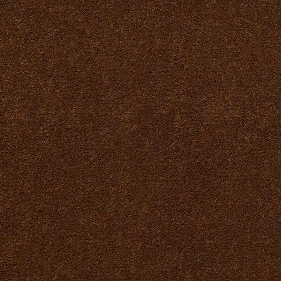 Molasses Zoomed Swatch