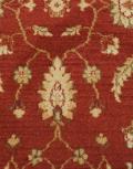 Andiamo - Rust Swatch