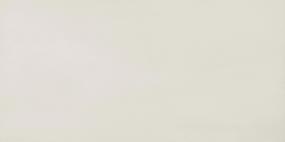 Synchronic Rectangle 12X24 Mt - White Matte Swatch