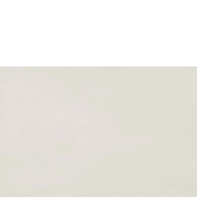White Matte Zoomed Swatch