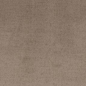 Safe Harbor Swatch