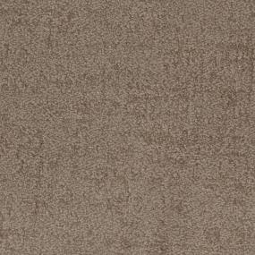 Bismark Zoomed Swatch