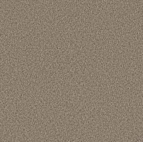 Artistic Fusion I - Sea Shell Swatch