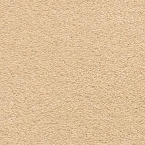 Grand Isle - Spice Swatch
