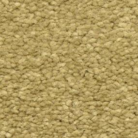 Canasta Zoomed Swatch