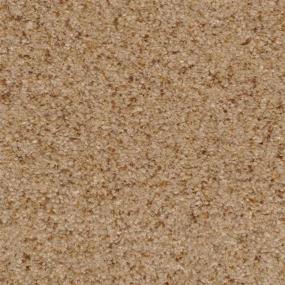 Chromatic Touch - Sandstone Swatch
