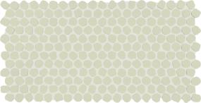 Keystones Organic Penny 1 Dm 12X22 MT Grp2 - Mint Ice Matte Swatch