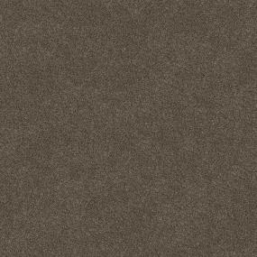 Valley Brook I - Mocha Swatch