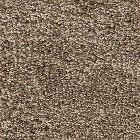 Intriguing Allure - Blonde Willow Swatch