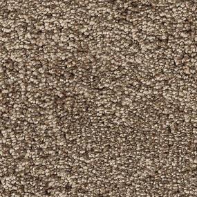 Blonde Willow Zoomed Swatch