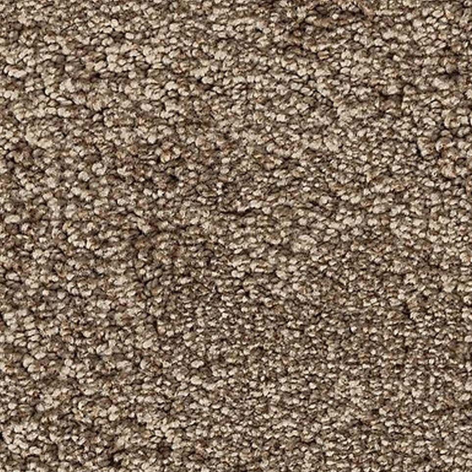 Blonde Willow Zoomed Swatch