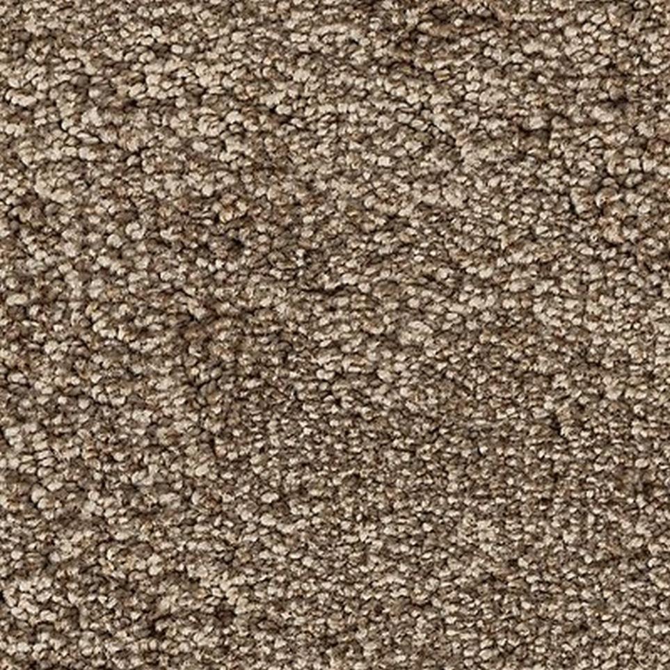 Blonde Willow Swatch