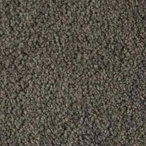 Soft Excellence - Raven Swatch