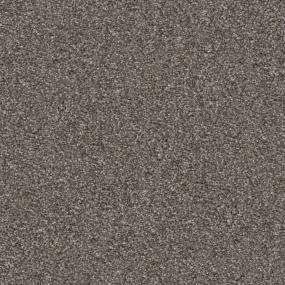 Top Dog - Frenchie Swatch
