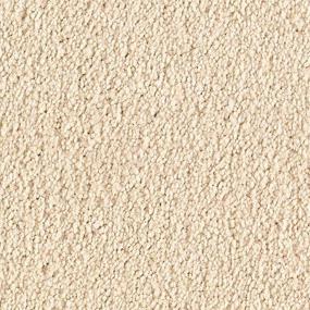 Designer Zoomed Swatch