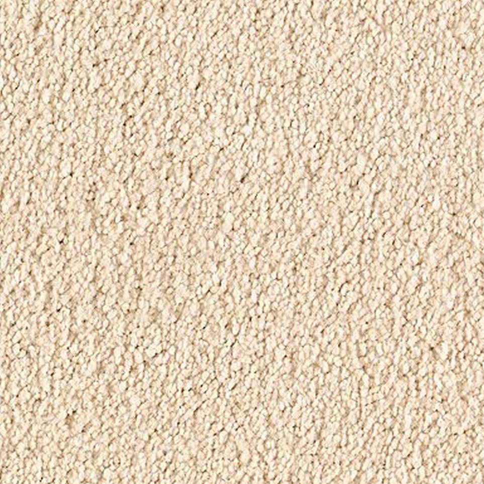 Designer Zoomed Swatch