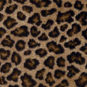 Exotic Journey Leopold