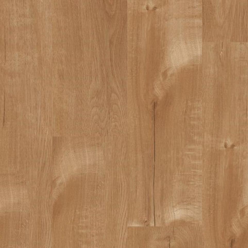 Natural Oak Zoomed Swatch