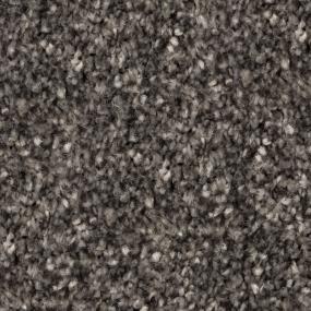 Nightlight Spark - Blackish Grey Swatch