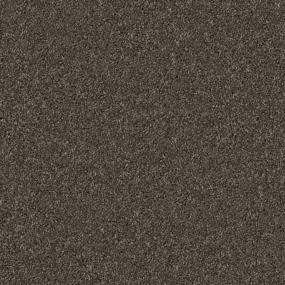 Schnauzer Swatch Thumbnail