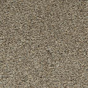 Wind Sculpted I 12' - Tumbleweed Swatch