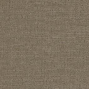 Collective - Connoisseur Swatch
