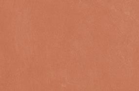 Coral Swatch Thumbnail