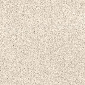 Spring Break - Dune Swatch