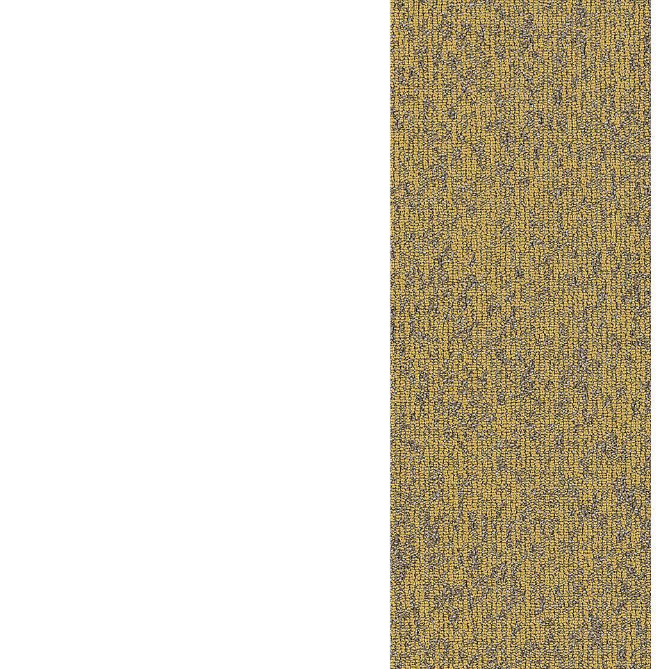 Midday Zoomed Swatch