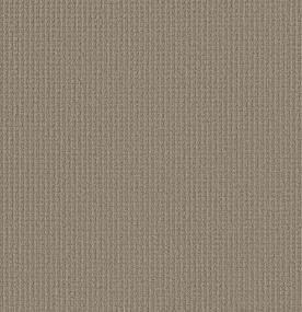 Aerial Arts - Burnished Clay Swatch
