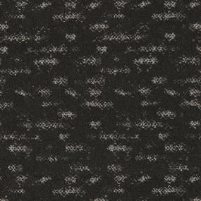 Evoke - Charcoals Swatch