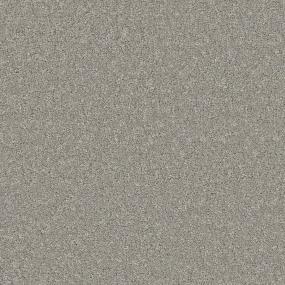 Ashes Zoomed Swatch