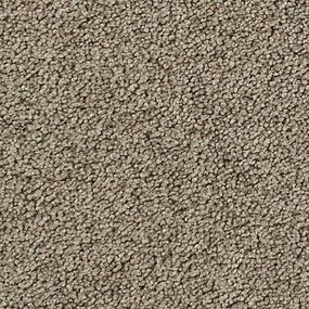 Talbot Swatch