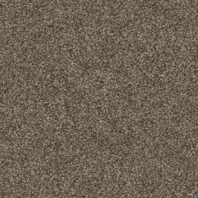 Roasted Coffee Zoomed Swatch