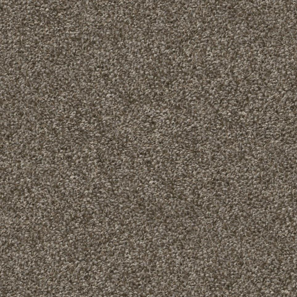 Roasted Coffee Zoomed Swatch