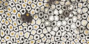 Zambia Deco 47X109 Porcelain Glossy - Jag Swatch