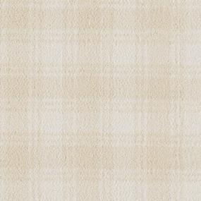Greyfriar Dfb - Sunbeam Swatch