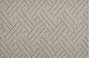 Havana - Shell Swatch