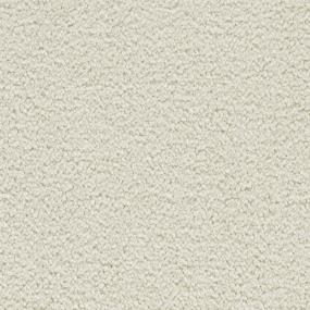 Whimbrel - Powder Swatch